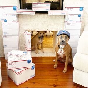 FOLLOW MY CUTE PAWSH ASSISTANTS! 🐶🐶🛍👑🐝